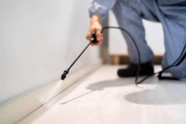 Best Best Pest Control Companies  in Colchester, IL