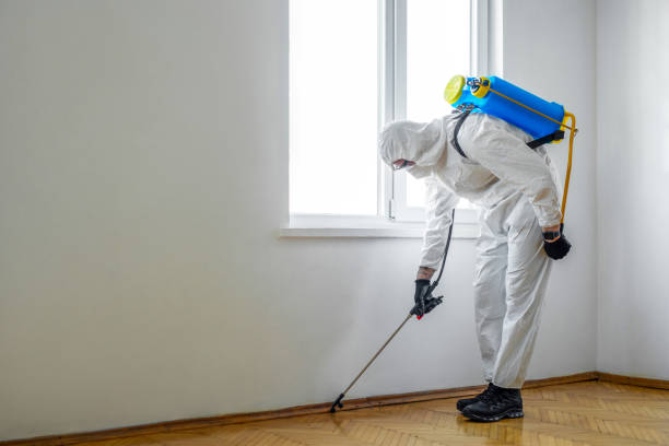 Best Mosquito Control Services  in Colchester, IL