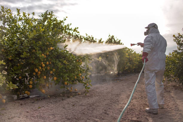 Best Pest Inspection Near Me  in Colchester, IL