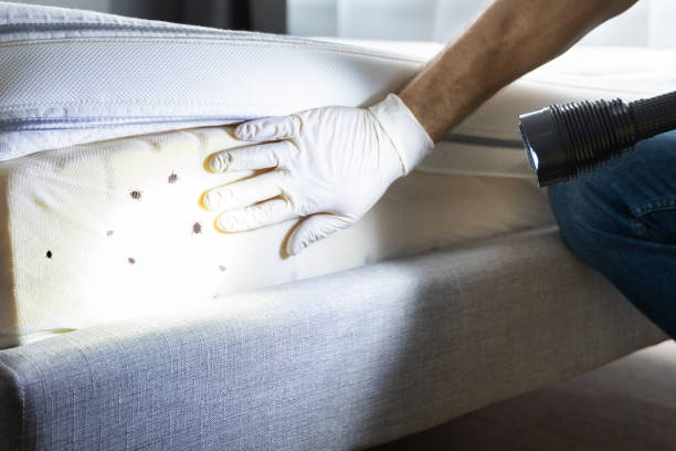Pest Control Cost in Colchester, IL