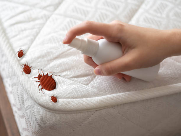 Best Pest Prevention Services  in Colchester, IL