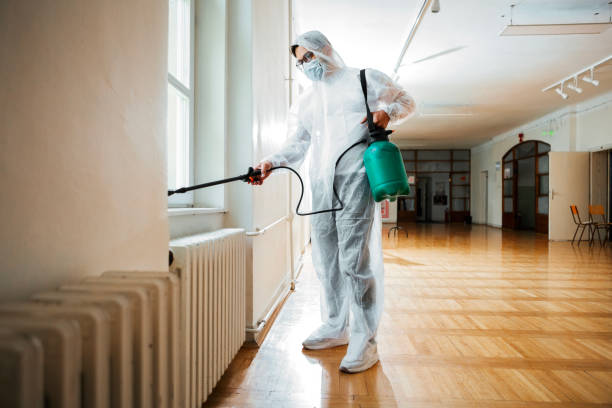 Best Termite Control Services  in Colchester, IL