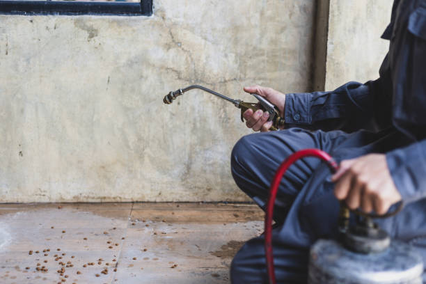 Best Pest Removal Services  in Colchester, IL